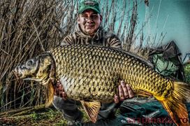 Trofeul Tancabesti (3) - 2013
